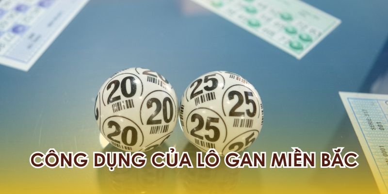 Những công dụng của lô gan