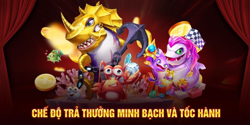 Chế độ trả thưởng minh bạch và tốc hành