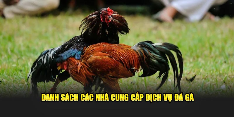 Tổng hợp danh sách nhà phát hành dịch vụ cho nền tảng