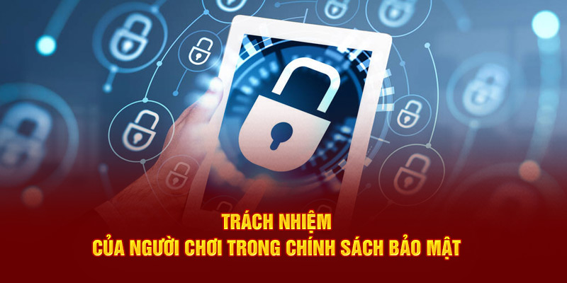 Trách nhiệm người chơi trong chính sách